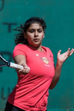 Bild 179 - VL Marienthaler THC - THC von Horn und Hamm